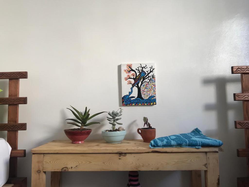 Bed and Breakfast Binic Surf House Taghazout Exteriér fotografie